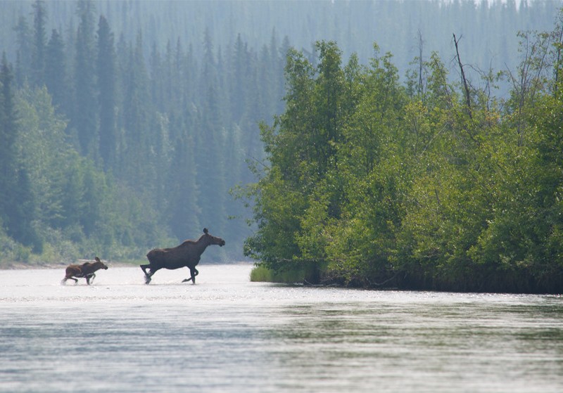 Nisultin River, Canada