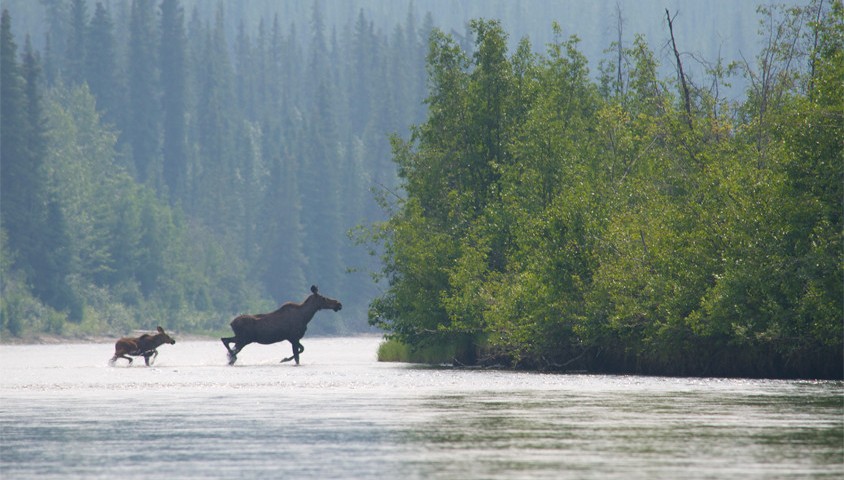 Nisultin River, Canada