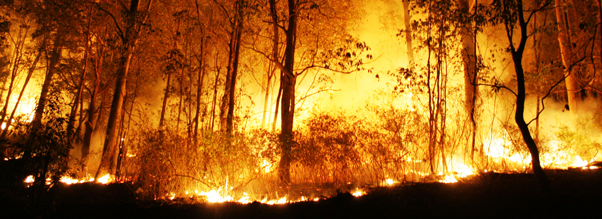 WA bushfires out of control