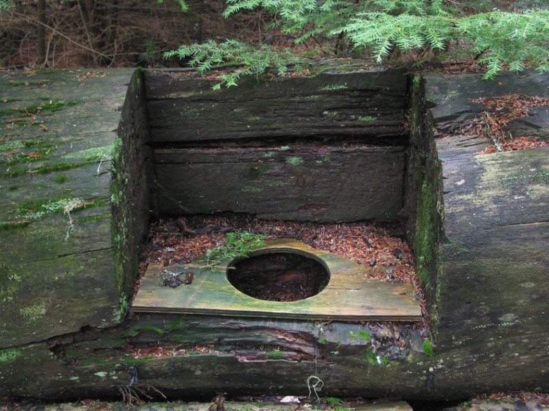 Log toilet
