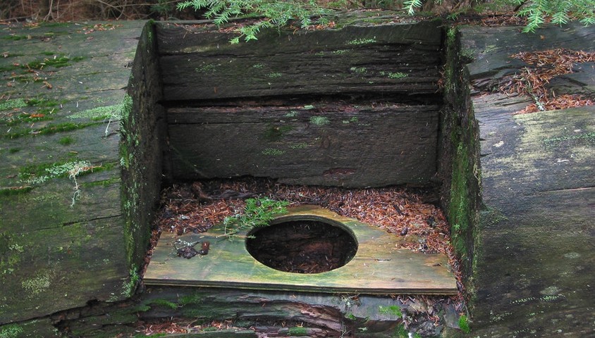 Log toilet