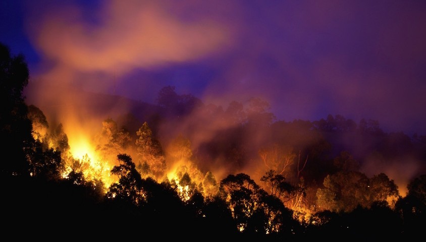 Bushfire night