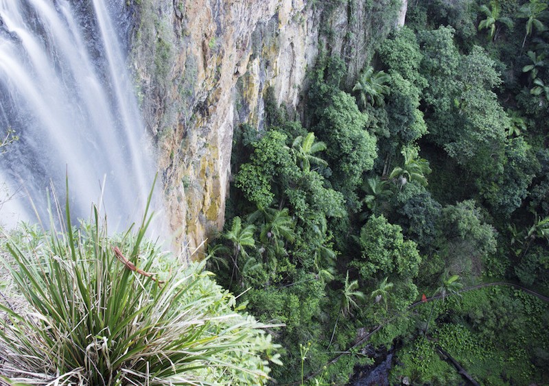 Tamborine Waterfall, Shutterstock