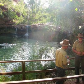 Karajini NP.
