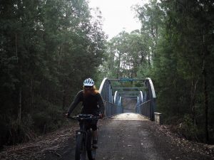 Cycling in the proposed Great Forest NP.