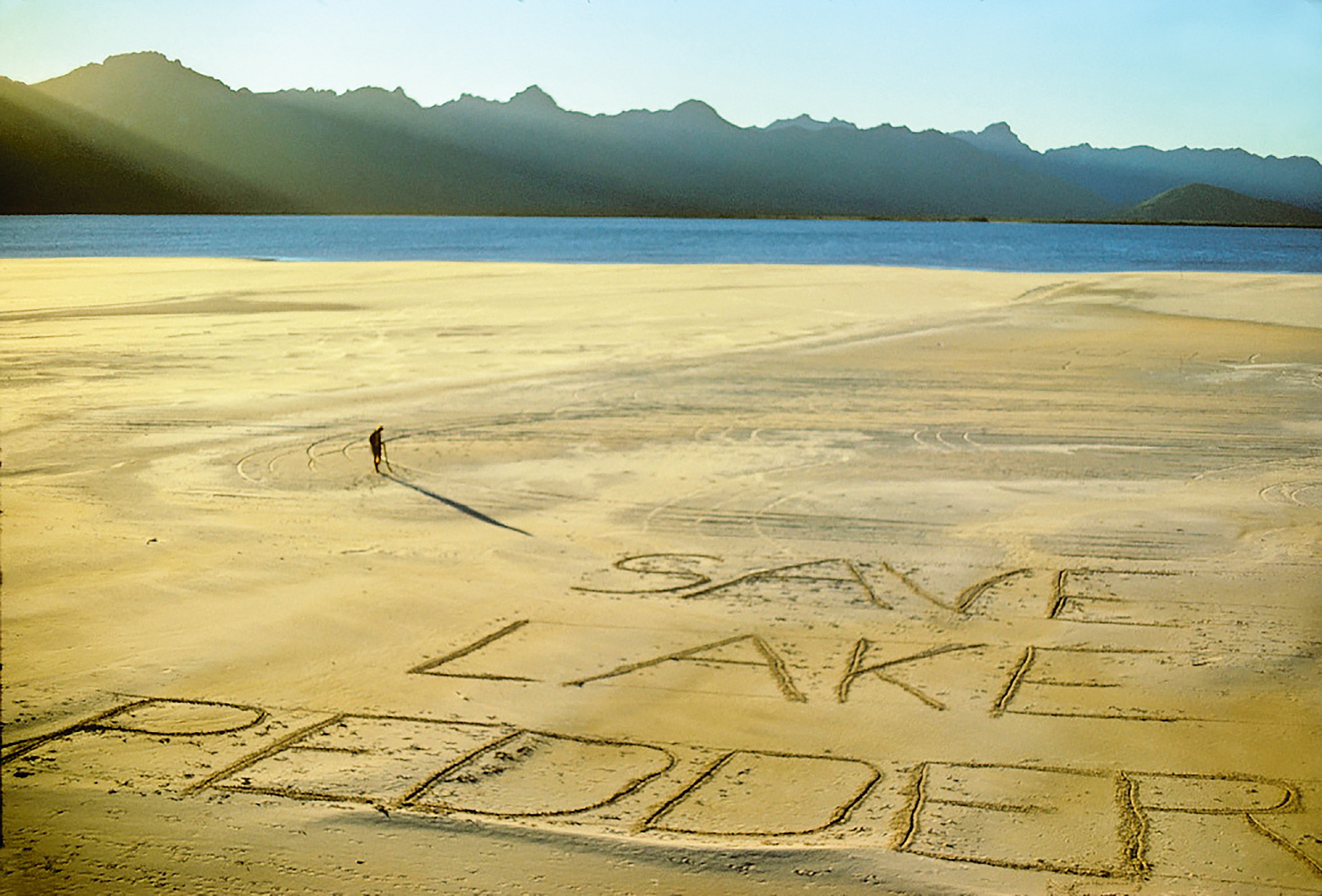 Bob's back for Sydney Water's summer water saving campaign via