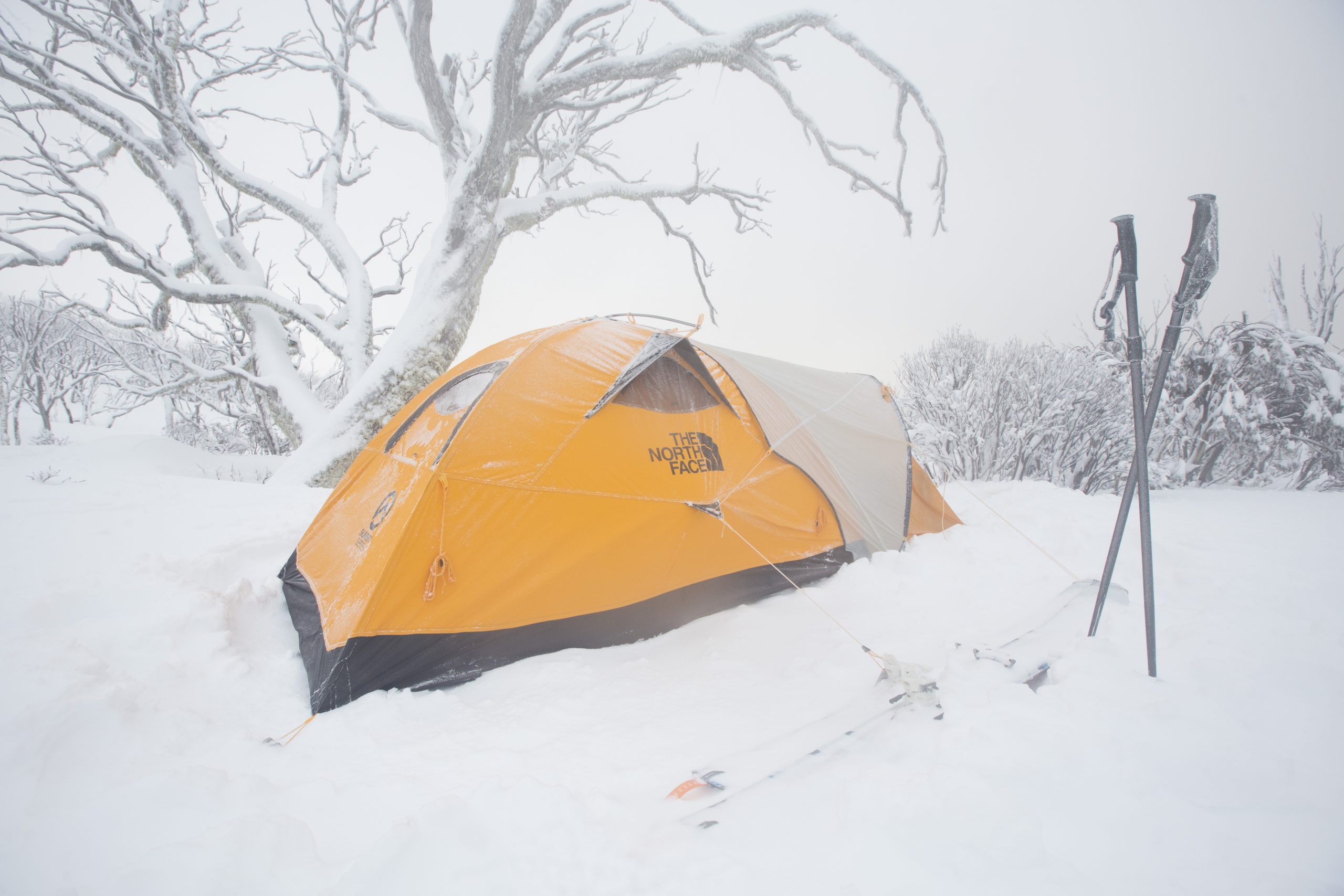 The north face alpine 2024 guide 2 tent review