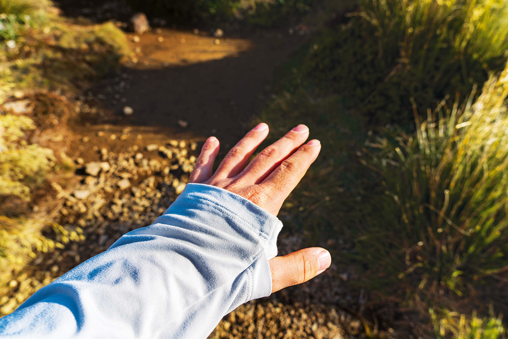 Outdoor Research ActiveIce Spectrum Sun Hoodie