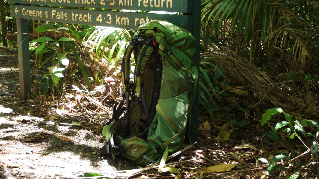 Hiking at Lamington National Park